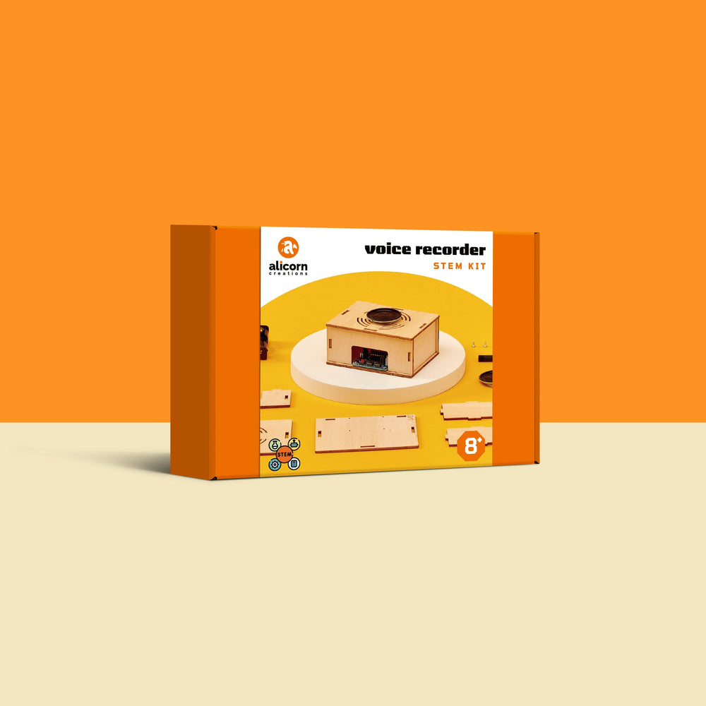 Voice Recorder DIY Kit, Educational STEM Toy (ONLINE ORDER ONLY)