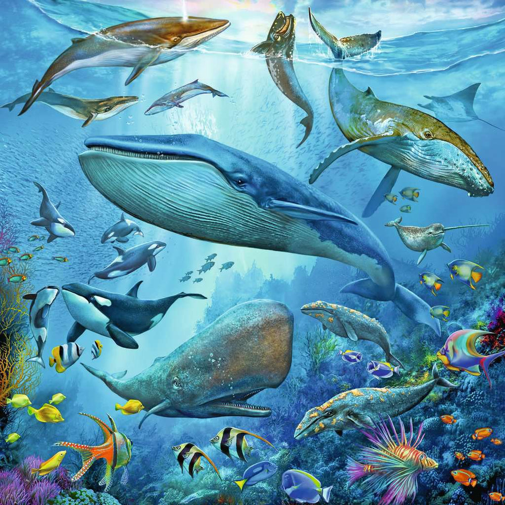 Puzzle: Ocean Life (ONLINE ORDER ONLY)