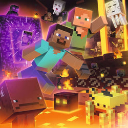 Puzzle: Minecraft: Biomes