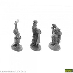 Bones Dungeon Dwellers: Goblin Elites (3)