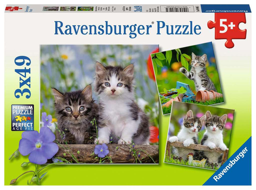 Puzzle: Cuddly Kittens