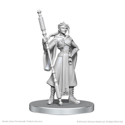 Critical Role Miniatures: Beauregard Lionett & Caleb Widogast - Wave 26 (ONLINE ORDER ONLY)
