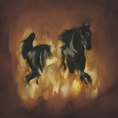 The Besnard Lakes Are The Dark Horse [LP]