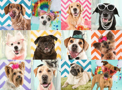 Puzzle: Doggy Disguise