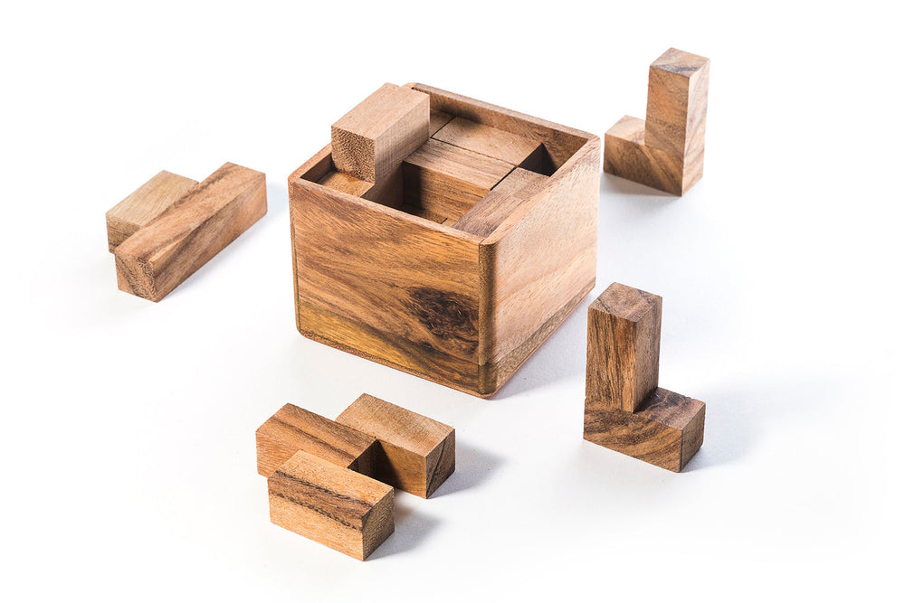 BrainStorm - Wooden Assembly Puzzle (Online Order Only)