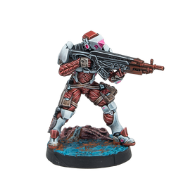 Stingers, Security Tactical Unit