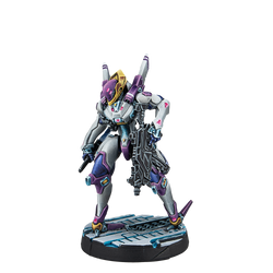 Beyond Operation Mazebreaker (ONLINE ORDER ONLY)