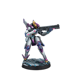 Beyond Operation Mazebreaker (ONLINE ORDER ONLY)