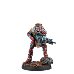 Beyond Operation Mazebreaker (ONLINE ORDER ONLY)