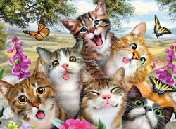 Puzzle: Friendly Felines