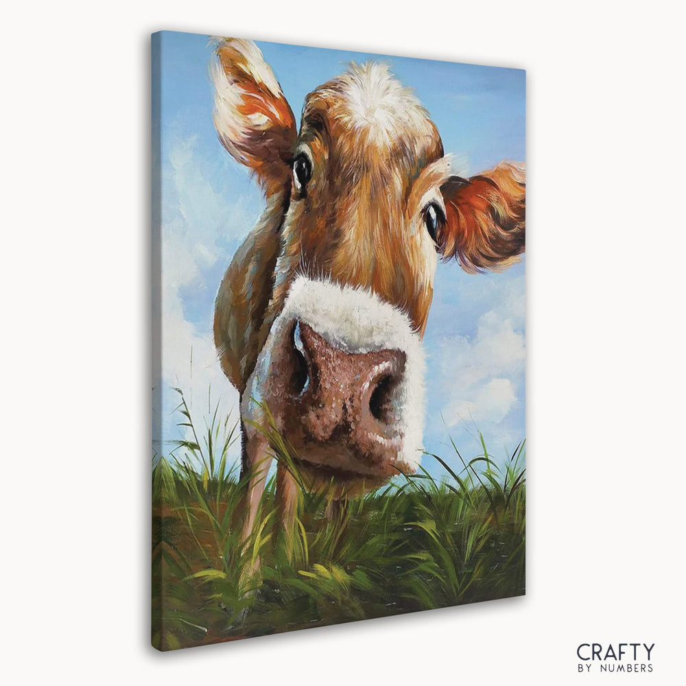 Cute Cow
