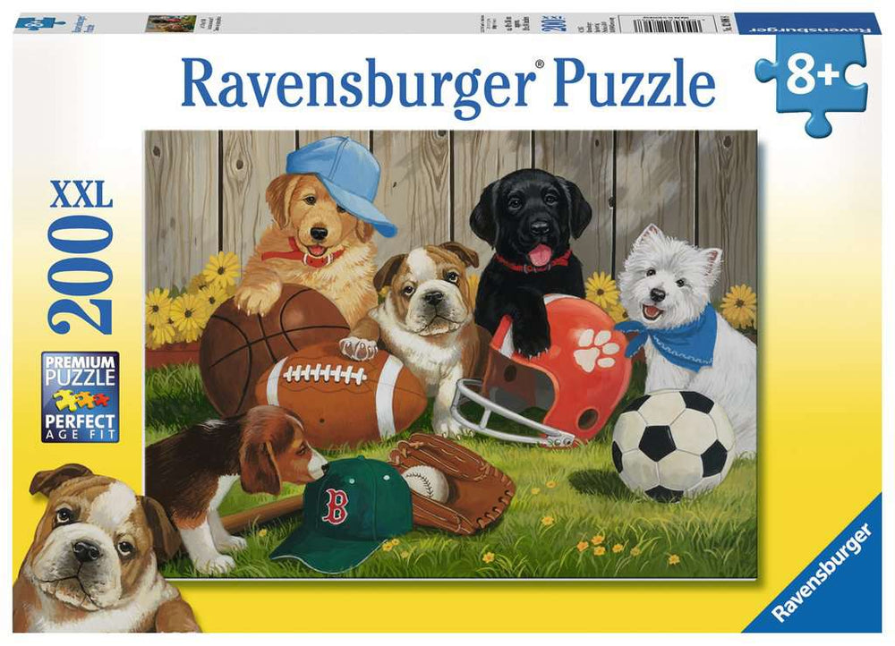 Puzzle: Let's Play Ball!