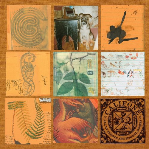 All My Friends Are Funeral Singers [LP]