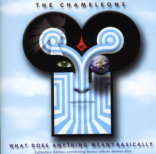 What Does Anything Mean? Basically [Import] (ONLINE ORDER ONLY)