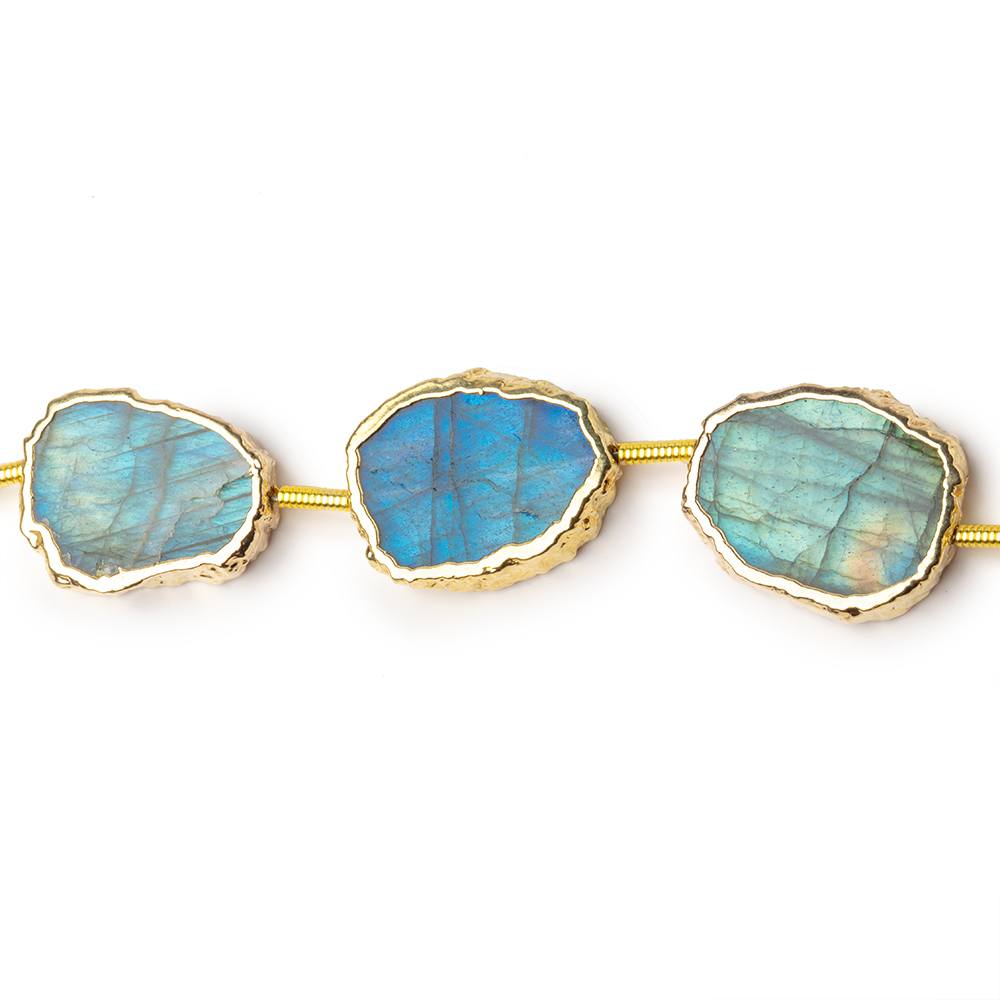 15x12-17x13mm Gold Leaf Labradorite Plain Slice Strand 10 Beads (ONLINE ORDER ONLY)
