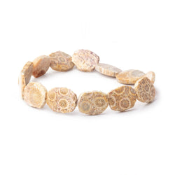 15x12mm Fossil Coral Straight Drilled Slice Beads 7.5 inch 12 pieces (ONLINE ORDER ONLY)