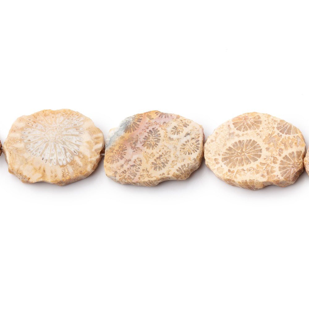 15x12mm Fossil Coral Straight Drilled Slice Beads 7.5 inch 12 pieces (ONLINE ORDER ONLY)