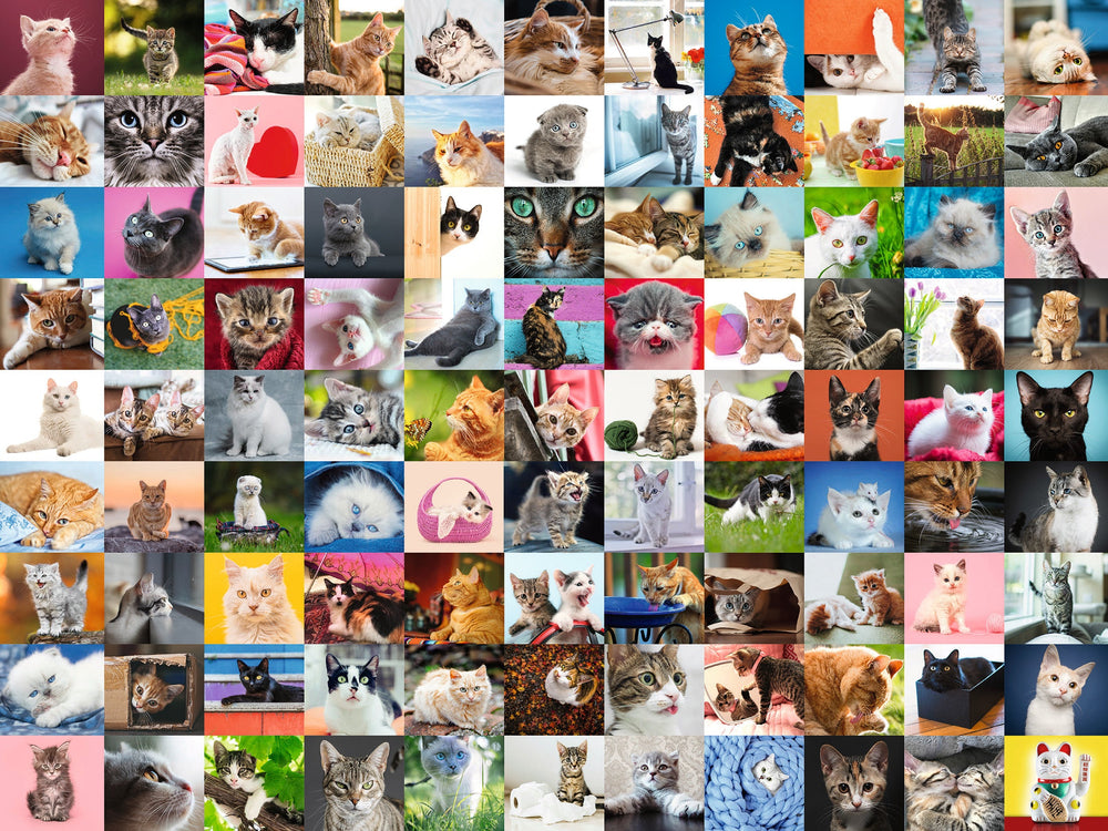 Puzzle: 99 Cats