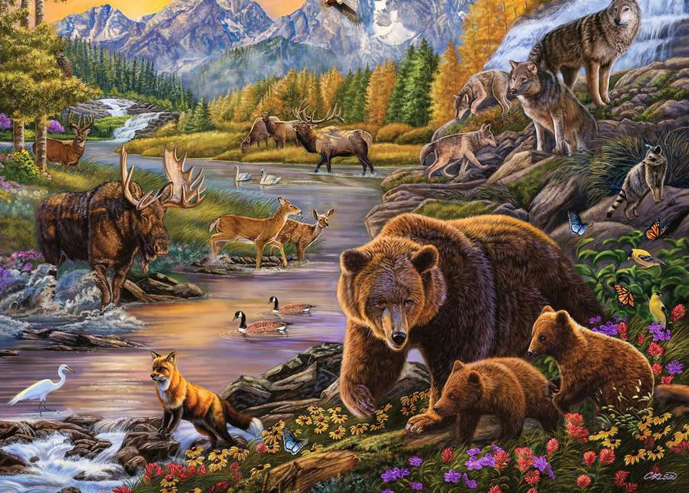 Puzzle: Large Format - Wilderness