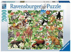 Puzzle: Jungle