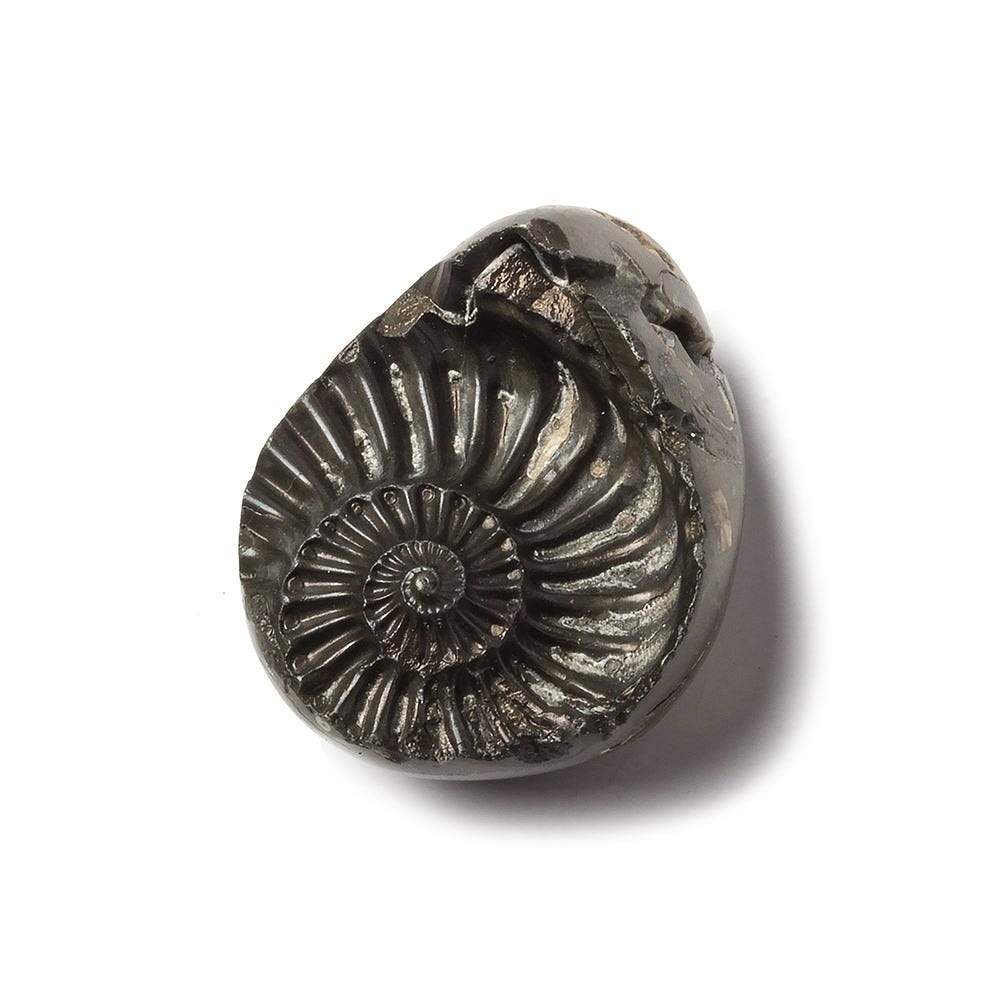 17x26mm Pyritized Ammonite  Fossil Focal Bead (ONLINE ORDER ONLY)