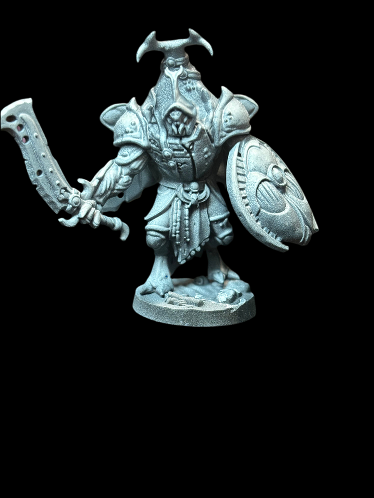 Beetle Warrior (ONLINE ORDER ONLY)