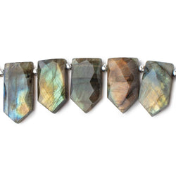 18x10-23x13mm Labradorite Faceted Shields 8.5 inch 16 Beads (ONLINE ORDER ONLY)