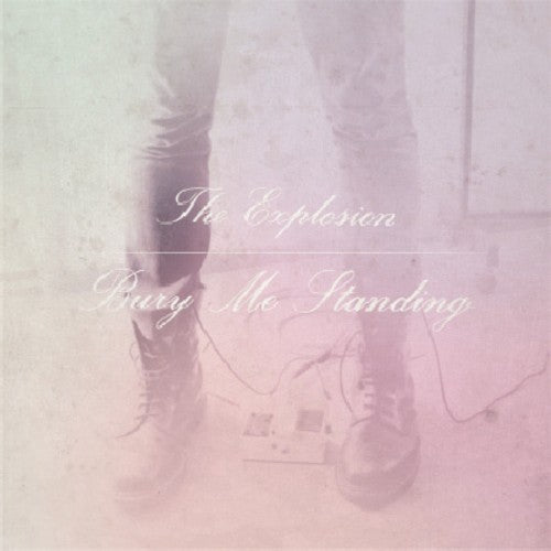 Bury Me Standing [LP]