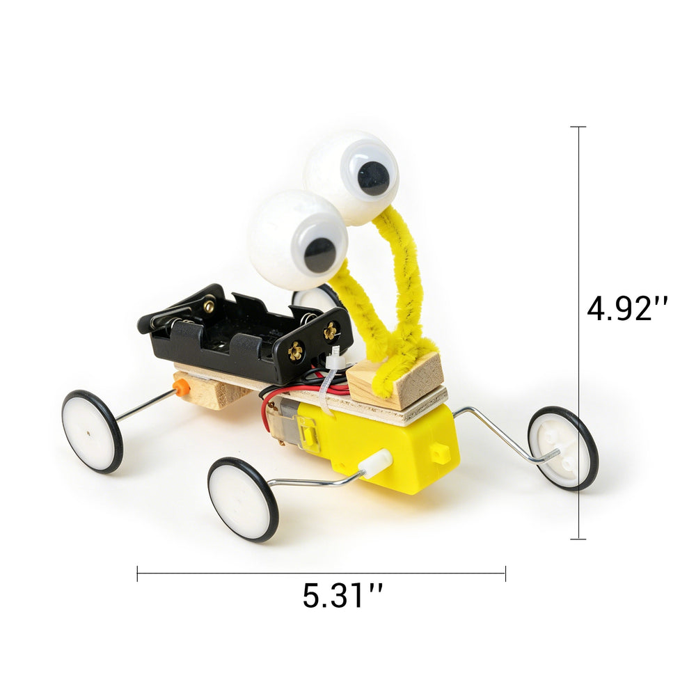 Bug Robot DIY Kit, Educational STEM Toy