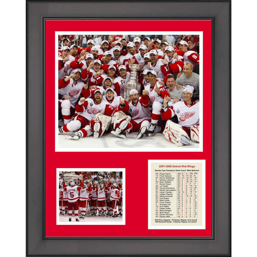 Framed Detroit Red Wings 2008 Stanley Cup Champions 11"x14" Hockey Three Photo Collage (ONLINE ORDER ONLY)