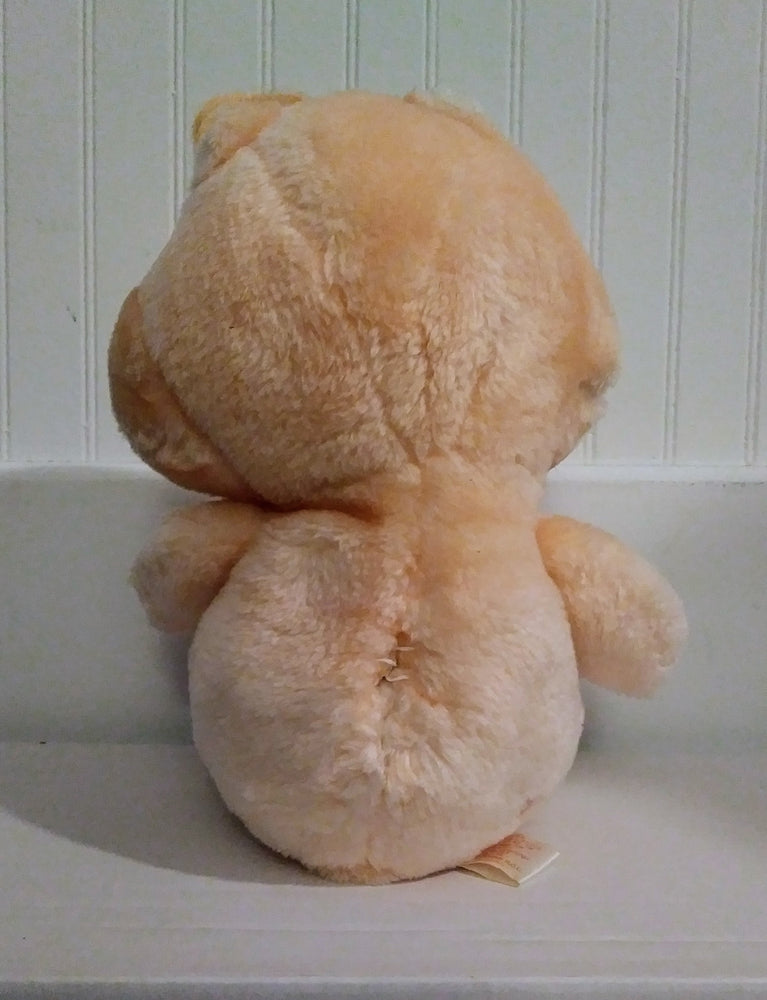 Care Bears Plush - Friend Bear (ONLINE ORDER ONLY)
