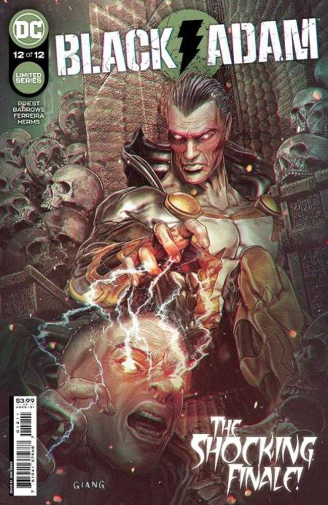 Black Adam (2022) #12 (Online Order Only)