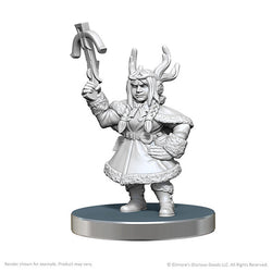 Critical Role Unpainted Miniatures: Veth Brenatto & Nott the Brave - Wave 26 (ONLINE ORDER ONLY)