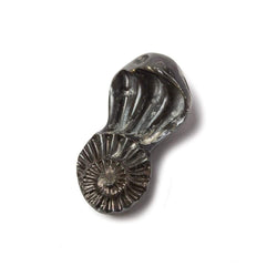 25x15mm Pyritized Ammonite  Fossil Focal Bead (ONLINE ORDER ONLY)