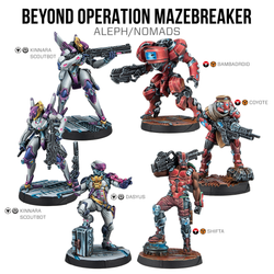 Beyond Operation Mazebreaker (ONLINE ORDER ONLY)