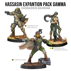 Hassassin Expansion Pack Gamma (ONLINE ORDER ONLY)