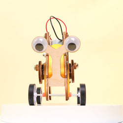Crawling Bug Robot STEM Kit – Build & Learn Robotics (ONLINE ORDER ONLY)