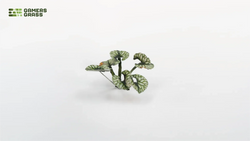 Gamers Grass | Laser Plants | Bugloss (ONLINE ORDER ONLY)