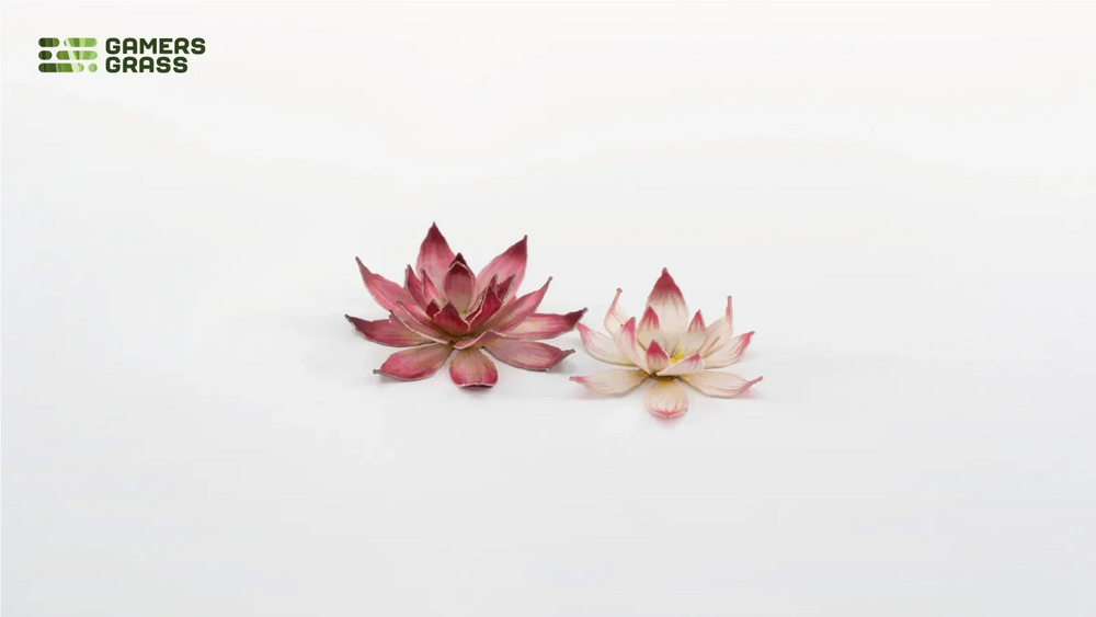 Gamers Grass | Laser Plants | Lotus Flower (ONLINE ORDER ONLY)