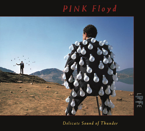 Delicate Sound Of Thunder (Live) [2 CD]