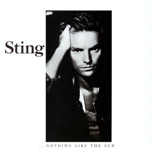 Nothing Like The Sun [2 LP]