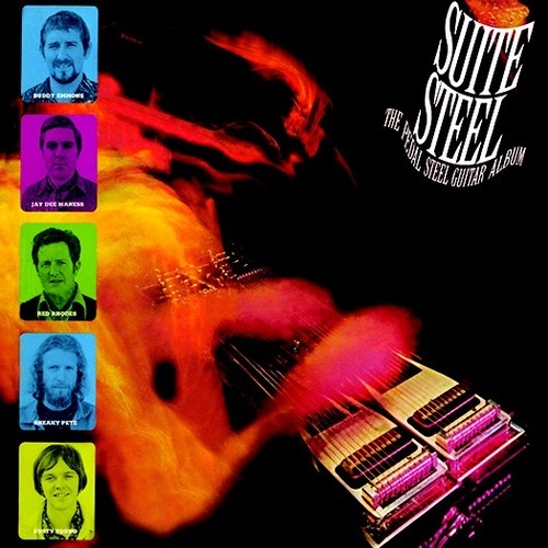 The Pedal Steel Guitar Album [CD]