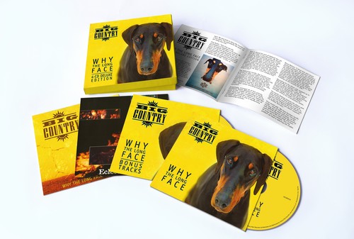 Why The Long Face (Box) [Deluxe] (Exp) (Uk)