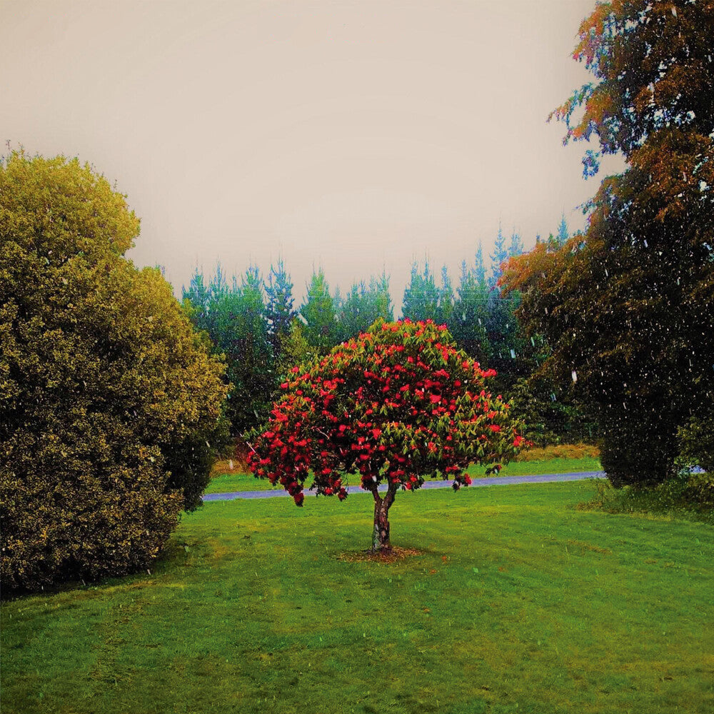 Foothills [CD]