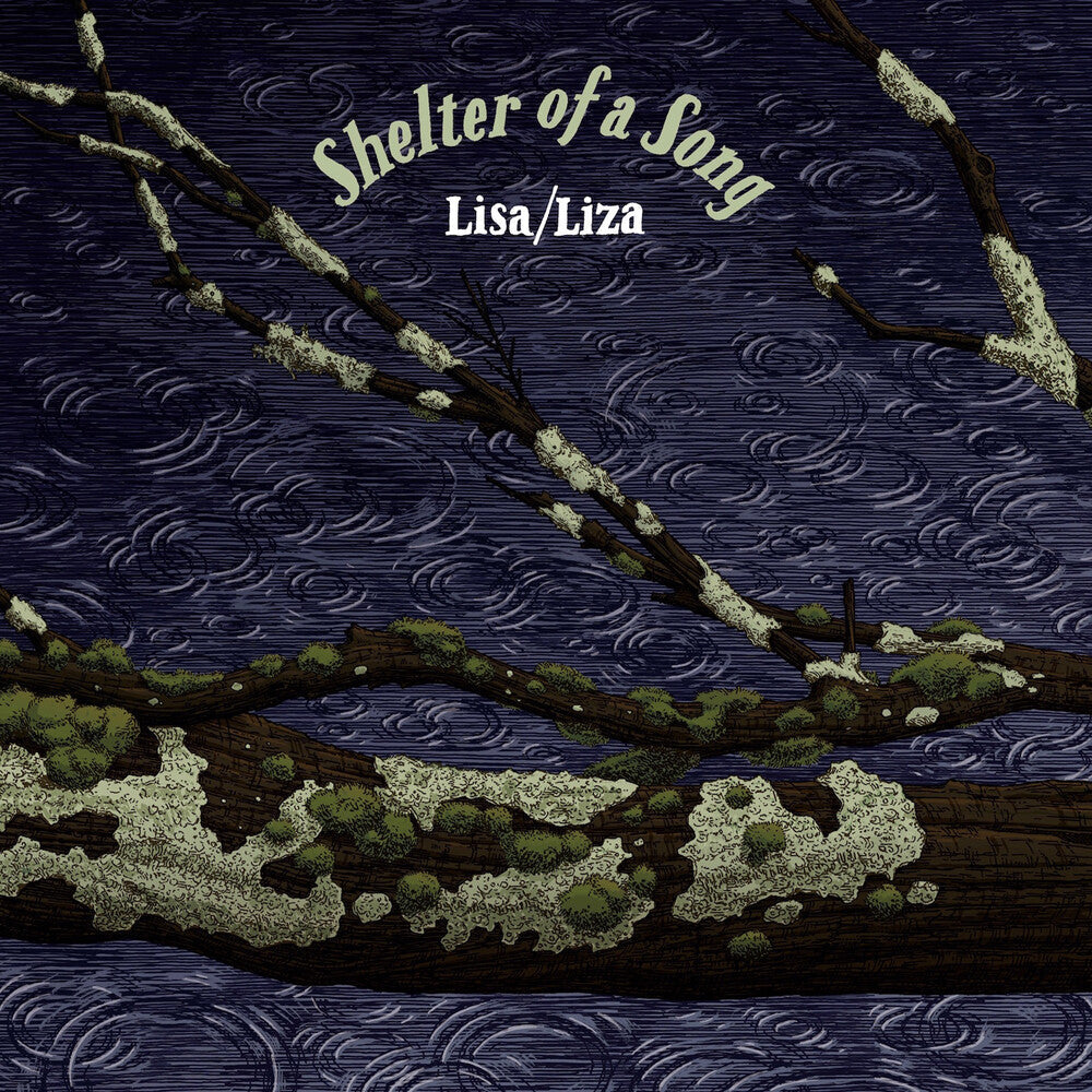 Shelter Of A Song [LP]