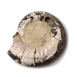 38x32mm Pyritized Ammonite  Fossil Focal Bead (ONLINE ORDER ONLY)