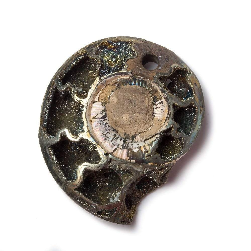 38x32mm Pyritized Ammonite  Fossil Focal Bead (ONLINE ORDER ONLY)