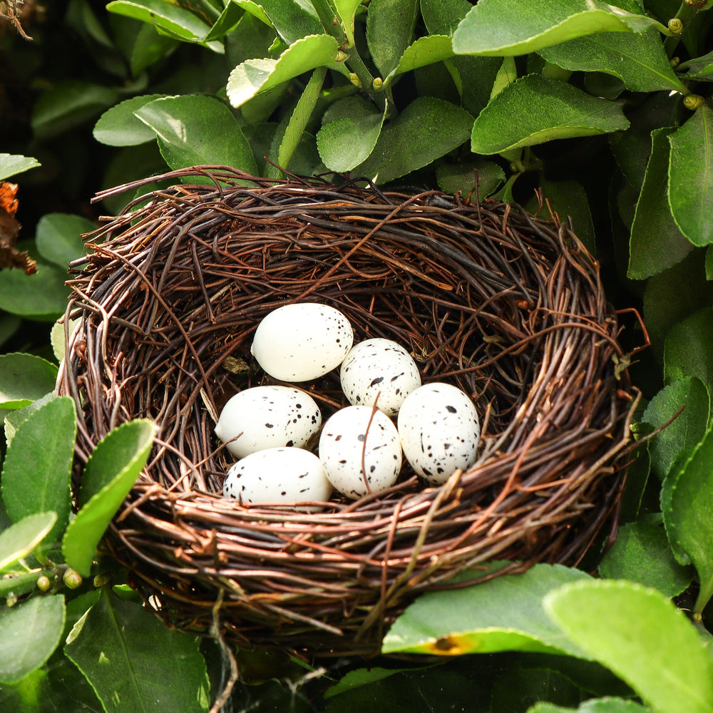 Handmade Bird Nest with Realistic Eggs — Natural Decor or Companion for Hand-Carved Bird Figures (ONLINE ORDER ONLY)