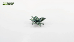 Gamers Grass | Laser Plants | Blue Agave (ONLINE ORDER ONLY)