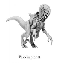 3D Printed Print Your Monsters Dark Elves Raptor Mounts Set 28mm - 32mm D&D Wargaming (Online Only)